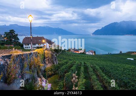 Vue paysage en soirée sur le village de Saint-Saphorin et le lac Léman avec vignobles Grand cru au premier plan, Suisse. Banque D'Images