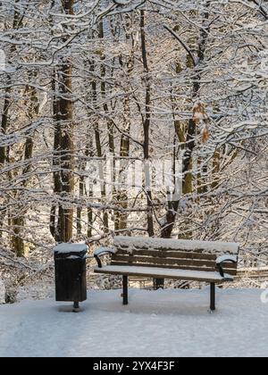 Une scène hivernale tranquille présente un banc recouvert de neige fraîche, entouré d'arbres drapés de blanc. L'atmosphère est sereine, avec un sentiment de calme Banque D'Images
