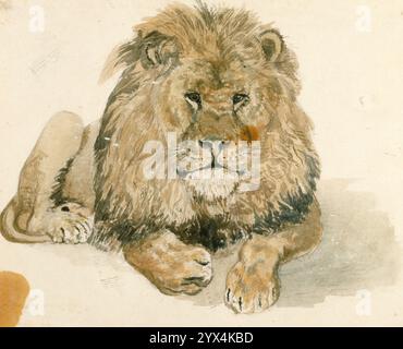 Un lion à l'Exeter 'change, c1820. Banque D'Images