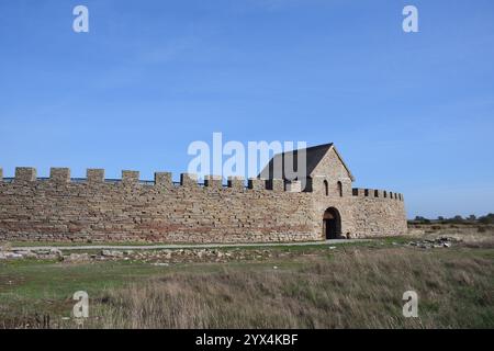 Château d'Eketorp à Stora Alvaret sur l'île suédoise d'Oeland le château d'Eketorp est un fort de l'âge du fer dans le sud-est d'Oeland, en Suède, en Europe Banque D'Images