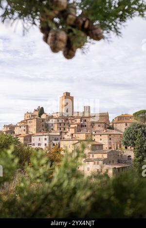 Vue de carte postale du village perché de Petroio à travers des branches de cyprès en Toscane, Italie. Orientation verticale Banque D'Images