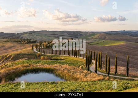 Collines de Toscane illuminées par la lumière du coucher du soleil. Villas lointaines perchées et cyprès serpentant le long des routes rurales d'Italie. Banque D'Images