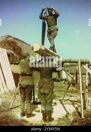 Les prisonniers russes préparent du bois pour la construction d'abris dans une station près de Makarowa. Dans la zone de la 110e division d'infanterie dans la section centrale du front de l'est. [traduction automatique] Banque D'Images