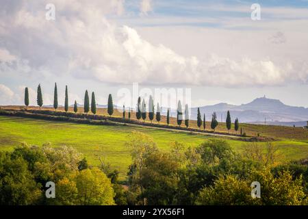 Route avec des cyprès et le village de Radicofani en arrière-plan. Val d'Orcia, province de Sienne, région Toscane, Italie Banque D'Images