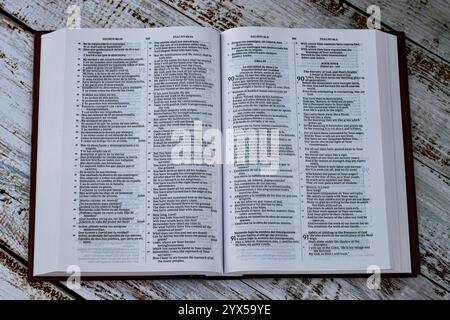 La Bible est le véritable manuel de la vie Banque D'Images
