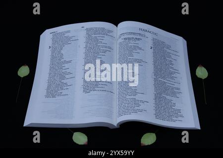 La Bible est le véritable manuel de la vie Banque D'Images