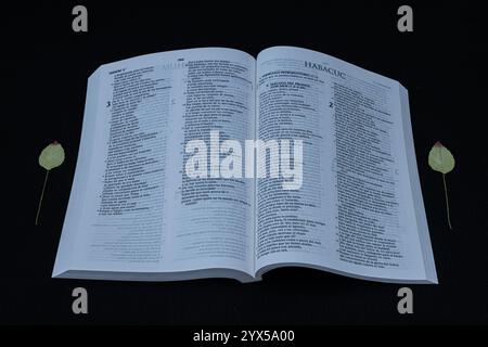 La Bible est le véritable manuel de la vie Banque D'Images