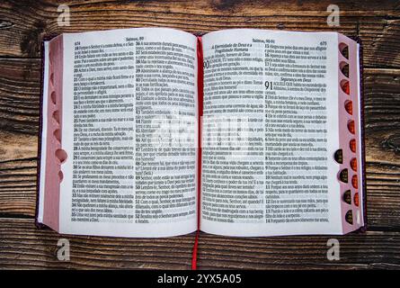 La Bible est le véritable manuel de la vie Banque D'Images