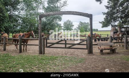 La Pampa, Argentine - 19 novembre 2024 : Estancia la Bamba de Areco, un ranch de chevaux traditionnel et un hôtel de luxe Banque D'Images