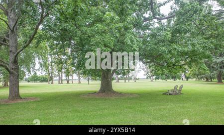 La Pampa, Argentine - 19 novembre 2024 : Estancia la Bamba de Areco, un ranch de chevaux traditionnel et un hôtel de luxe Banque D'Images