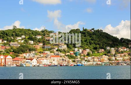 Vue panoramique de St George la capitale de la Grenade, prise de la mer. Jolie ville côtière nichée dans une forêt tropicale luxuriante, et petit port Banque D'Images