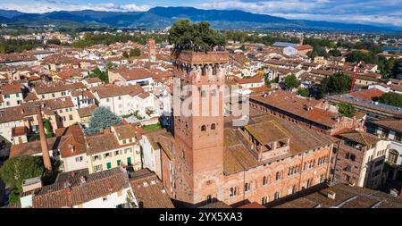 Italie, Toscane voyage et monuments. Lucques ville historique médiévale, vue en angle élevé de la tour Guinigi avec chêne sur le sommet Banque D'Images