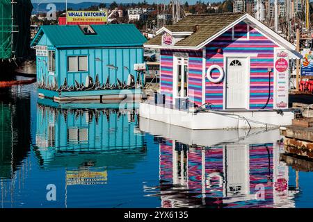 Deux maisons colorées flottent sur l'eau. L'un est bleu et l'autre est rose et violet Banque D'Images