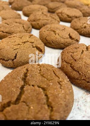 Gros plan de biscuits de mélasse au gingembre fraîchement cuits sur papier parchemin Banque D'Images
