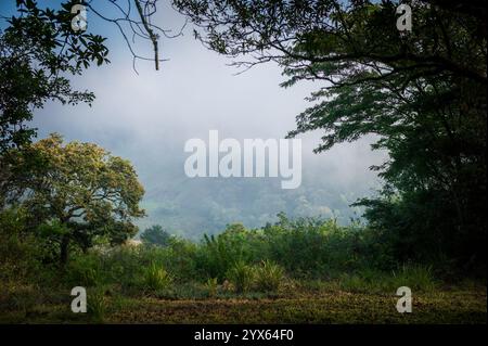 Vue panoramique enveloppée de brume des montagnes, Highlands de l'est, Mutare, province de Manicaland, Zimbabwe. Banque D'Images