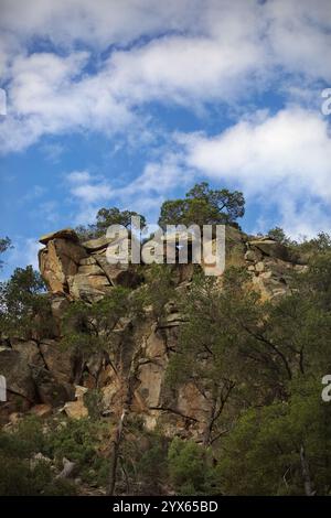 vue verticale du ciel, des rochers et des arbres, parmi de nombreuses vues pittoresques le long de Catalina Highway, une route panoramique jusqu'au Mt. Lemmon, une île du ciel à Tucson, Ari Banque D'Images