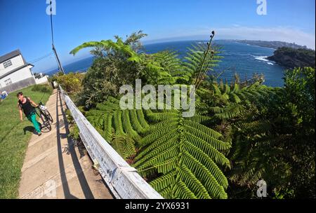 Marcheur avec vélo sur la piste côtière, Gordons Bay, Sydney, NSW, Australie. Pas DE MR ou PR Banque D'Images