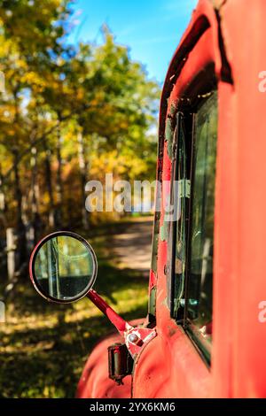 Un camion rouge avec un miroir sur le côté. Le miroir est sale et le camion est garé dans une forêt Banque D'Images