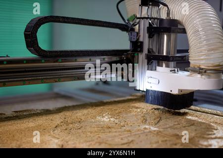 Sculpture en bois de teck d'un collage stylisé sur une machine CNC, une pièce de tête pour un navire, des animaux marins Banque D'Images