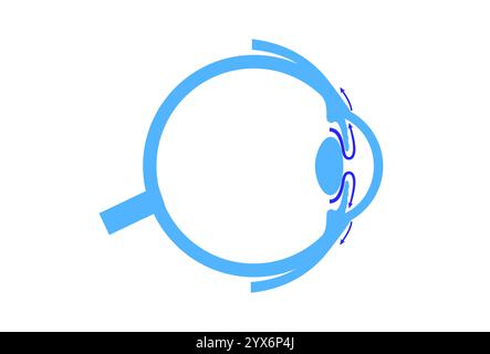 Drainage de liquide dans l'oeil. Illustration montrant comment la chambre postérieure et le maillage trabéculaire jouent un rôle crucial dans l'élimination du liquide intraoculaire. Banque D'Images
