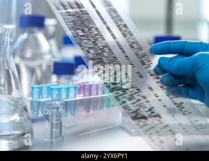 Scientifique regardant les résultats d'un gel d'ADN (acide désoxyribonucléique). Banque D'Images