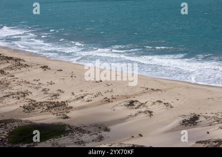 La plage de Dhanushkodi, située près d'Arichal Munai, est connue pour son sable immaculé et ses eaux claires. Dhanushkodi est une ville abandonnée au sud-est Banque D'Images