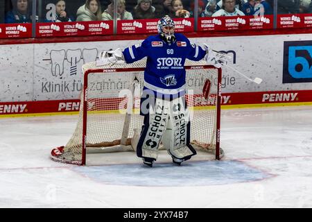 Joacim Eriksson (60, Goalie, Schwenninger Wild Wings) GER, Schwenninger Wild Wings vs Löwen Frankfurt, Eishockey, DEB, DEL, saison 2024/25, Spieltag 25, 13.12.2024, Foto : Eibner-Pressefoto/Florian Wolf Banque D'Images