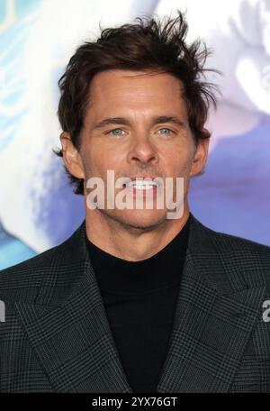 James Marsden assiste à la première britannique de « Sonic the Hedgehog 3 » au Cineworld Leicester Square à Londres, en Angleterre. Banque D'Images