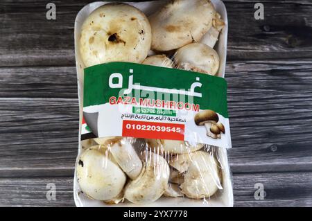 Le Caire, Égypte, novembre 25 2024 : champignons de Gaza, champignons comestibles, les corps fruitiers charnus de nombreuses espèces de macro champignons, avec le goût désirable et Banque D'Images