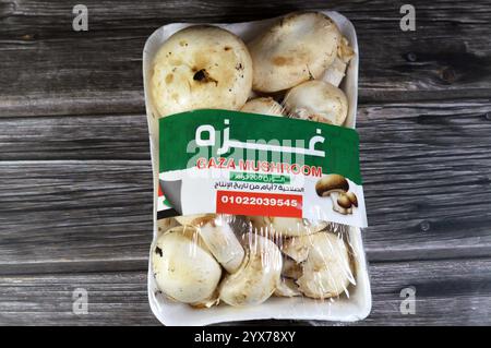 Le Caire, Égypte, novembre 25 2024 : champignons de Gaza, champignons comestibles, les corps fruitiers charnus de nombreuses espèces de macro champignons, avec le goût désirable et Banque D'Images