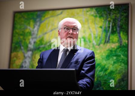 Johannesburg, Afrique du Sud. 13 décembre 2024. Le président fédéral Frank-Walter Steinmeier prend la parole lors de la cérémonie de remise des médailles à la résidence de l'ambassadeur allemand en Afrique du Sud. Le président fédéral Steinmeier visite le Nigeria, l'Afrique du Sud et le Lesotho lors de son voyage de quatre jours en Afrique. Crédit : Bernd von Jutrczenka/dpa/Alamy Live News Banque D'Images