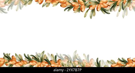 Branches d'argousier cadre avec baies orange et feuilles vertes. Plante médicinale. Aquarelle dessinée à la main illustration isolée florale pour la conception d'automne Banque D'Images