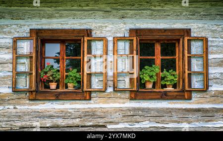Fleurs en pot et fenêtre ouverte sur chalet en bois Banque D'Images