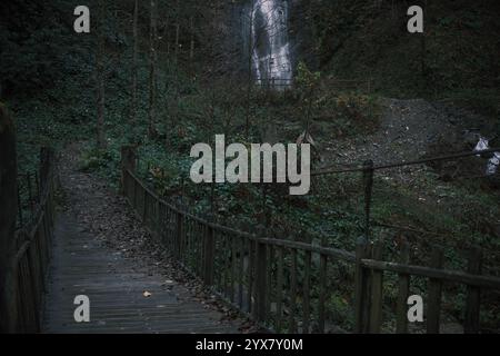 Un vieux pont en bois dans une forêt sombre et une petite cascade à proximité Banque D'Images
