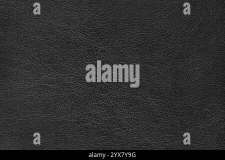 Structure de surface en cuir véritable avec macro de texture légèrement granuleuse, gros plan. Similicuir noir brillant lisse, matériau d'ameublement, backgro de luxe Banque D'Images