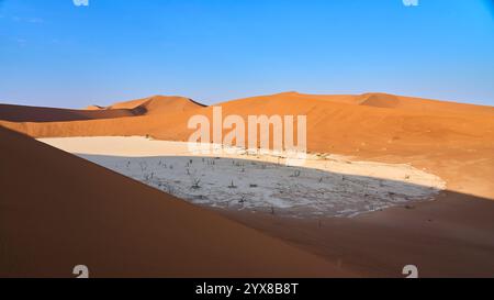 Deadvlei avec ses célèbres arbres pétrifiés vus depuis la crête d'une dune voisine, Sossusvlei, Deadvlei, Parc National de Sesriem, Namibie, Afrique. Banque D'Images