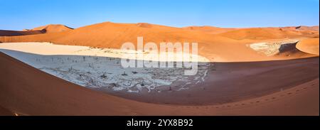 Image panoramique de Deadvlei avec des arbres pétrifiés vus de la crête d'une dune voisine, Sossusvlei, Big Daddy Dune, Sossusvlei, Namibie, Afrique. Banque D'Images