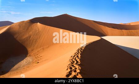 Un sentier de pas sur une crête de dunes menant au sommet de la dune Big Daddy, Sossusvlei, Deadvlei, parc national de Sesriem, Namibie, Afrique. Banque D'Images