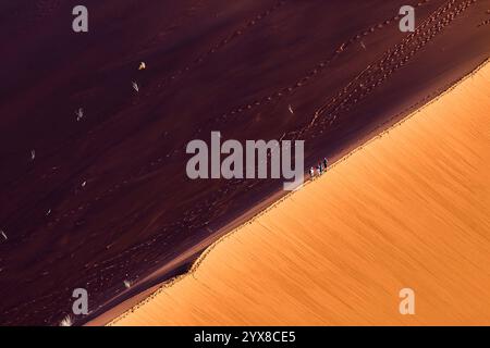 Au loin, les gens marchent sur la crête d’une dune, de fortes ombres comme on le voit depuis Big Daddy Dune, Sossusvlei, Sesriem National, Namibie, Afrique. Banque D'Images