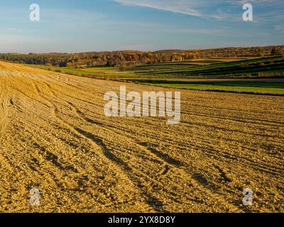 La peinture représente un paysage agricole d'automne avec des champs caractéristiques de cultures au premier plan. La terre est soigneusement labourée, et en th Banque D'Images