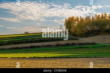 La peinture représente un paysage agricole d'automne avec des champs caractéristiques de cultures au premier plan. La terre est soigneusement labourée, et en th Banque D'Images