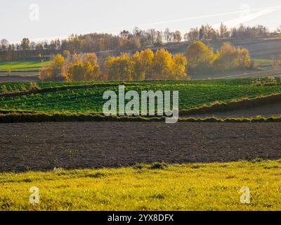 La peinture représente un paysage agricole d'automne avec des champs caractéristiques de cultures au premier plan. La terre est soigneusement labourée, et en th Banque D'Images