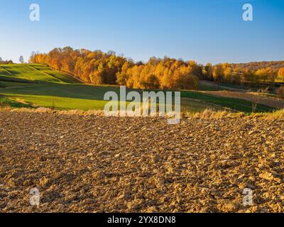 La peinture représente un paysage agricole d'automne avec des champs caractéristiques de cultures au premier plan. La terre est soigneusement labourée, et en th Banque D'Images