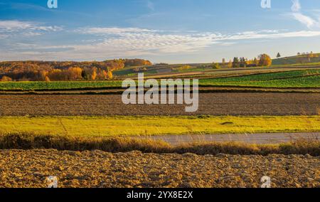 La peinture représente un paysage agricole d'automne avec des champs caractéristiques de cultures au premier plan. La terre est soigneusement labourée, et en th Banque D'Images