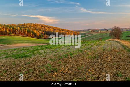 L'image représente un paysage agricole d'automne pittoresque. Au premier plan, il y a des champs dans différentes nuances de vert, recouverts de vege frais Banque D'Images