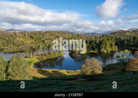 Beaux paysages autour de Tarn Hows au nord de Coniston dans le parc national du Lake District, Cumbria, Angleterre. Banque D'Images