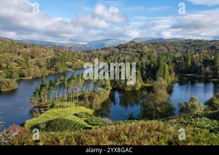 Beaux paysages autour de Tarn Hows au nord de Coniston dans le parc national du Lake District, Cumbria, Angleterre. Banque D'Images