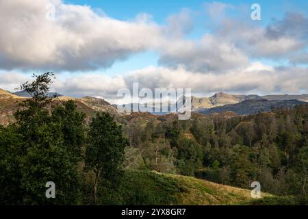 Beaux paysages autour de Tarn Hows au nord de Coniston dans le parc national du Lake District, Cumbria, Angleterre. Banque D'Images