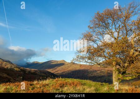 The Fairfield Horseshoe from Loughrigg Fell, Lake District National Park, Cumbria, Angleterre, Royaume-Uni Banque D'Images