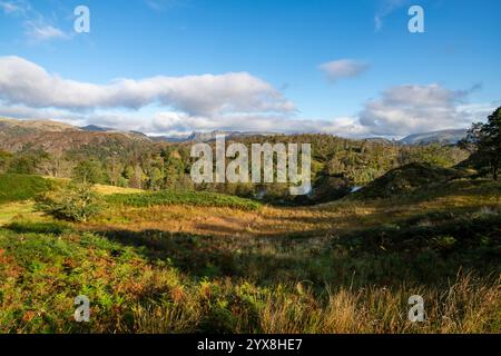 Beaux paysages autour de Tarn Hows au nord de Coniston dans le parc national du Lake District, Cumbria, Angleterre. Banque D'Images